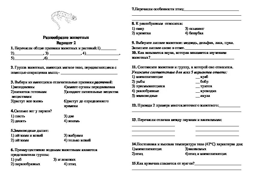 Самостоятельный тест 3 класс. Разнообразие животных 3 класс окружающий мир тест с ответами. Животные это 3 класс окружающий мир тест с ответами. Контрольная работа. Проверочная работа животные 3 класс.