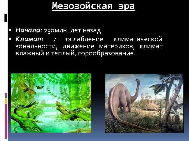 Начало мезозойской эры. Мезозойская Эра, мезозой. Мезозойская Эра (Эра средней жизни). Мезозойская Эра характеристика.