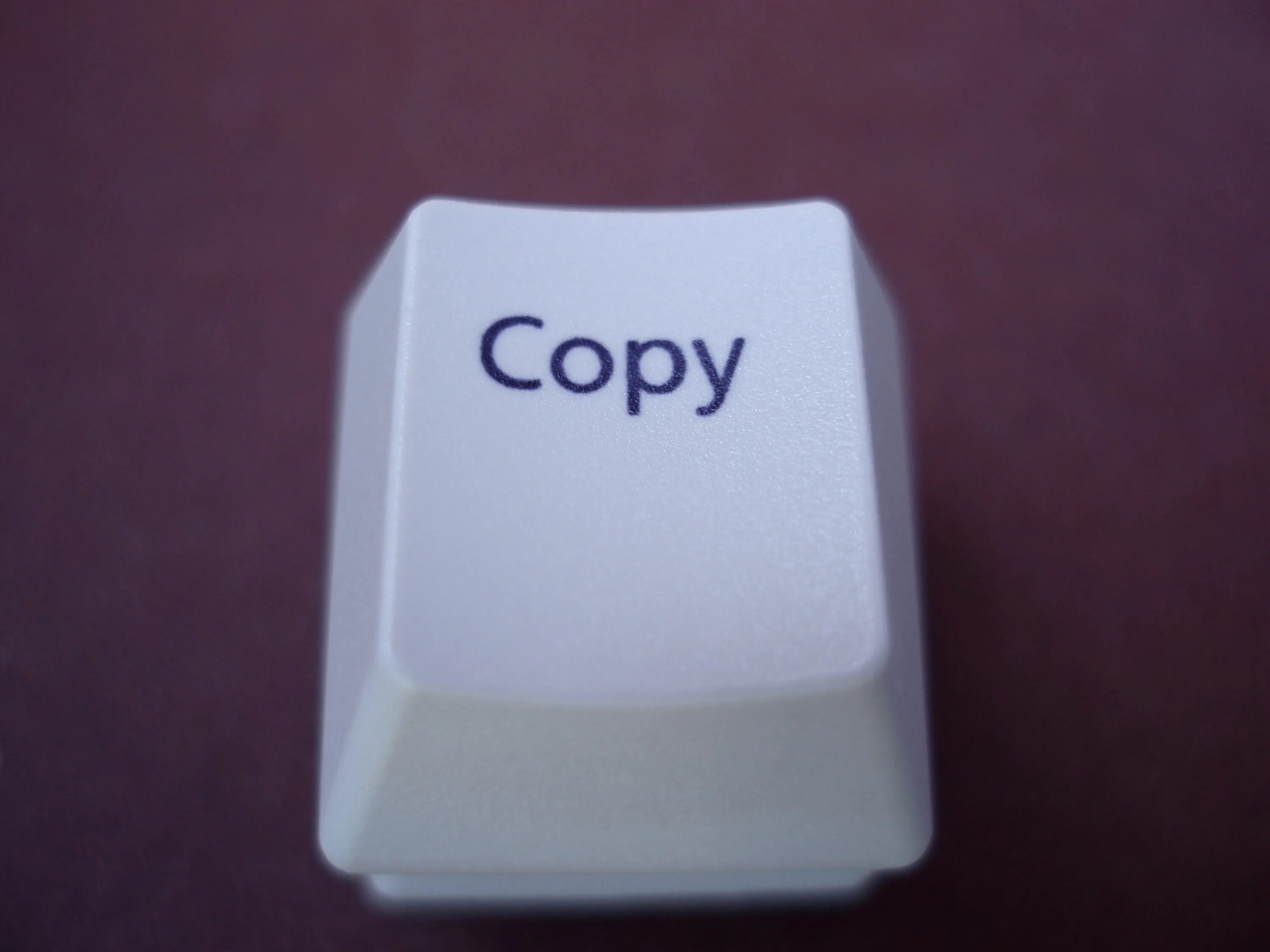 Тогда копи. Copy. Copi. Copy button. Copy of copy.