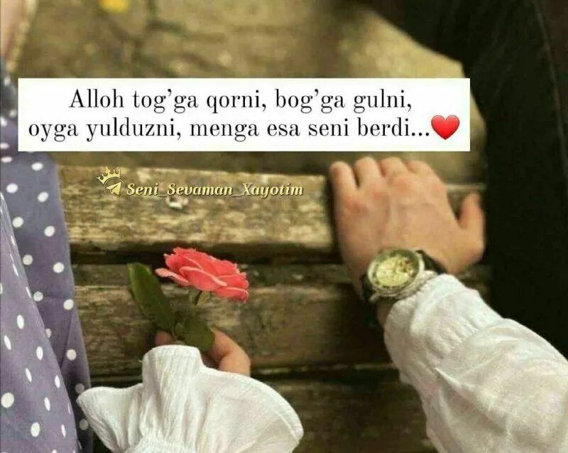 ты моя дунья текст. ничтожная дунья. эх дунья дунья. ты моя дунья текст. раббана атина фиддунья.