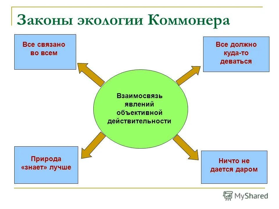 Примеры экологических законов. Социальная экология законы Коммонера. Законы Коммонера в экологии. Четыре закона экологии Барри Коммонера. Законы кононораэкология.