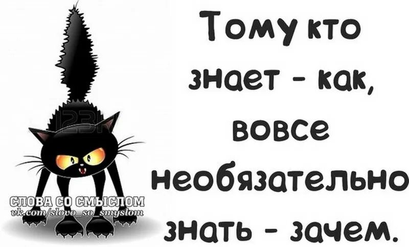 Прикольные картинки со смыслом надписями. Слова со смыслом. юмор в картинках со смыслом. прикольные надписи со смыслом. слова со смыслом прикольные.