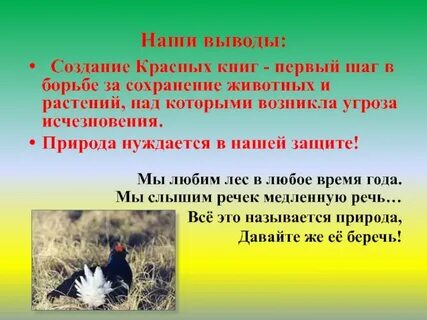 Спасаем исчезающих животных от вымирания