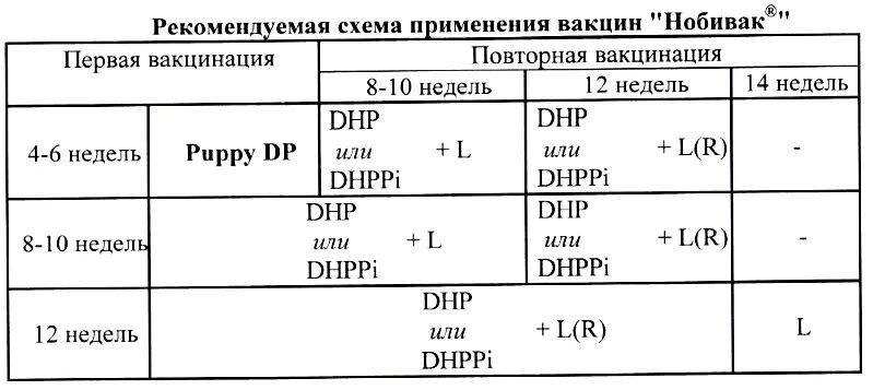 Схема вакцинации щенков нобиваком. Схема прививки Нобивак для щенков. Схема прививок Нобивак для щенков. Схема прививок Nobivac для щенков.