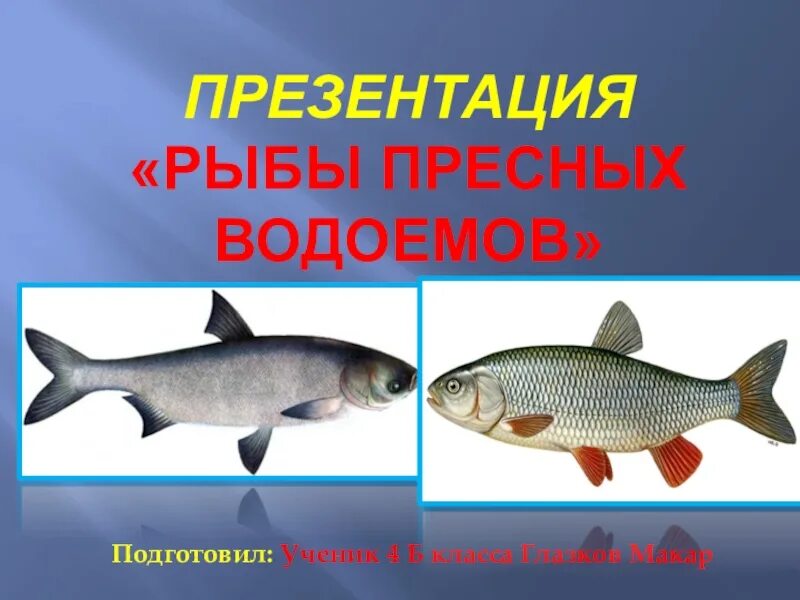 Рыбы пресных и соленых водоемов 1 класс