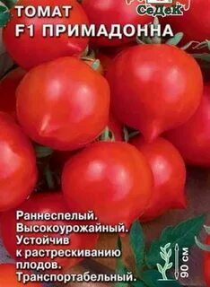 Томат примадонна
