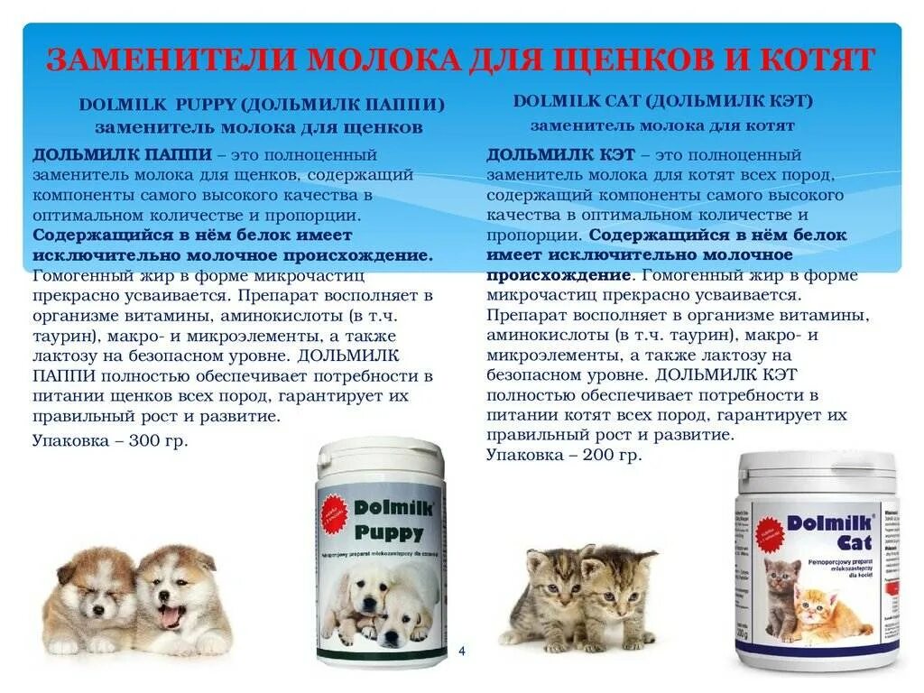 Можно ли давать котам собакам. Заменитель молока для котят и щенков. можно кормить котёнка молоком коровьим?. молочные продукты для котят. кисломолочные продукты для кошек.