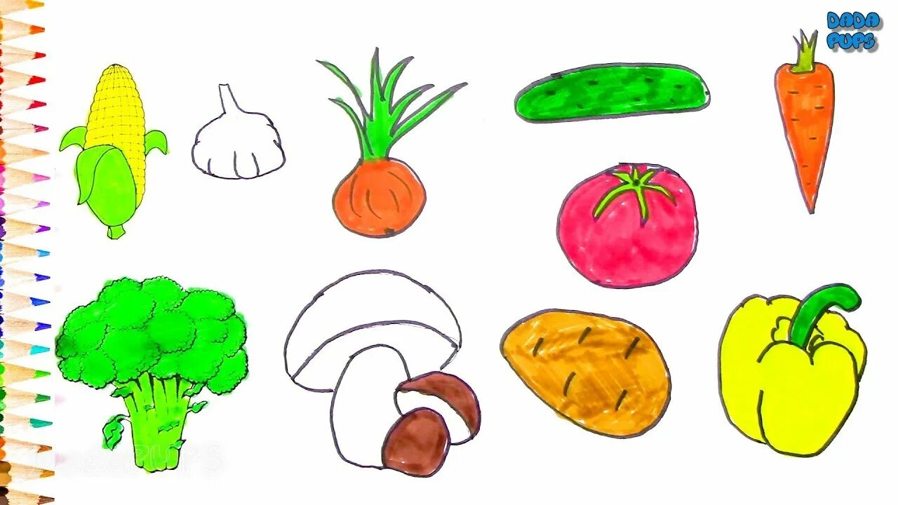 Vegetables learn