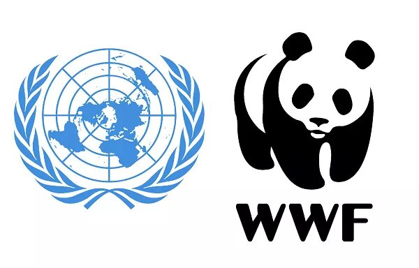 Международный всемирный фонд. Всемирный фонд охраны природы. Международная организация WWF. Эмблема Всемирного фонда охраны дикой природы. Символ ВВФ.