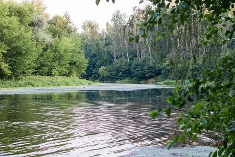 Зелень река