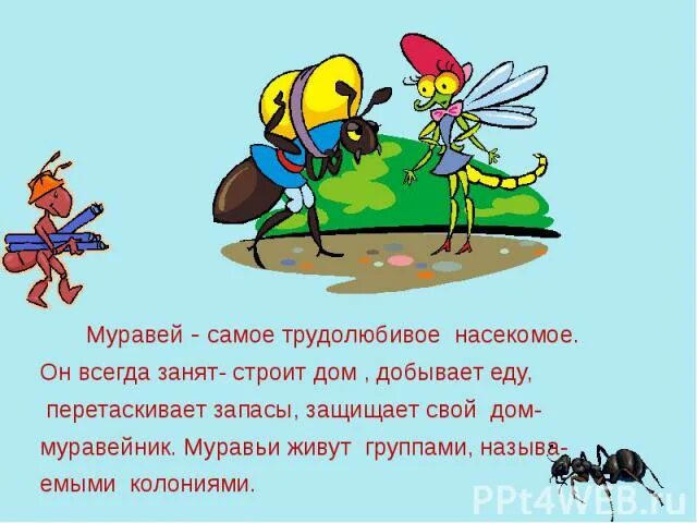 Предложение про муравья. Рассказ о муравьях. рассказ о муравьях 3 класс. сказочная история про муравьев. предложение про насекомых.