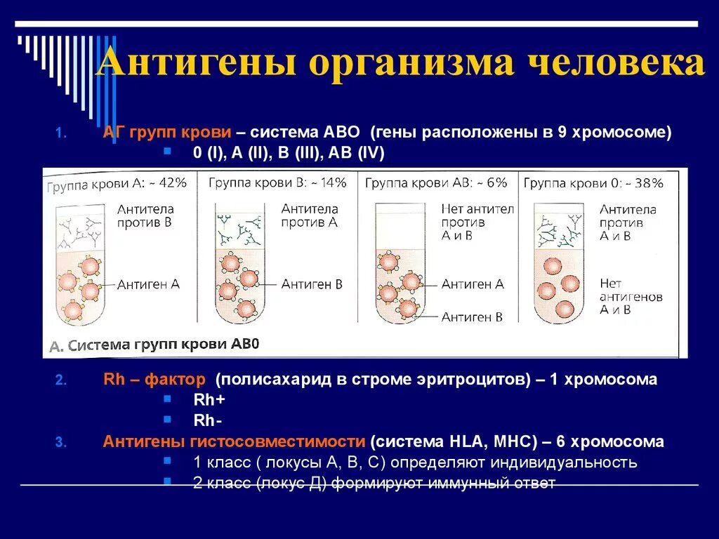 Антиген группы крови человека