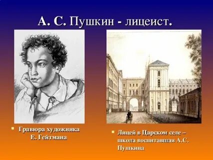 Закончил лицей