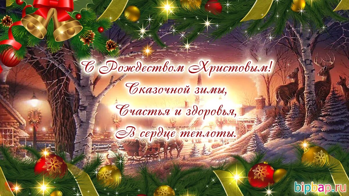 Новости и репортажи