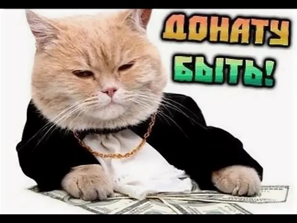Лучший сервис для донатов