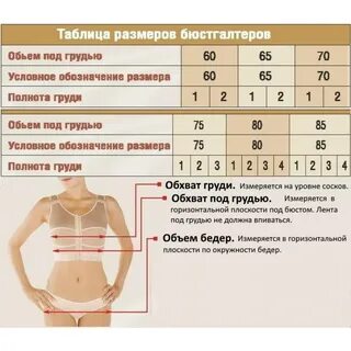 Размеры молочных желез
