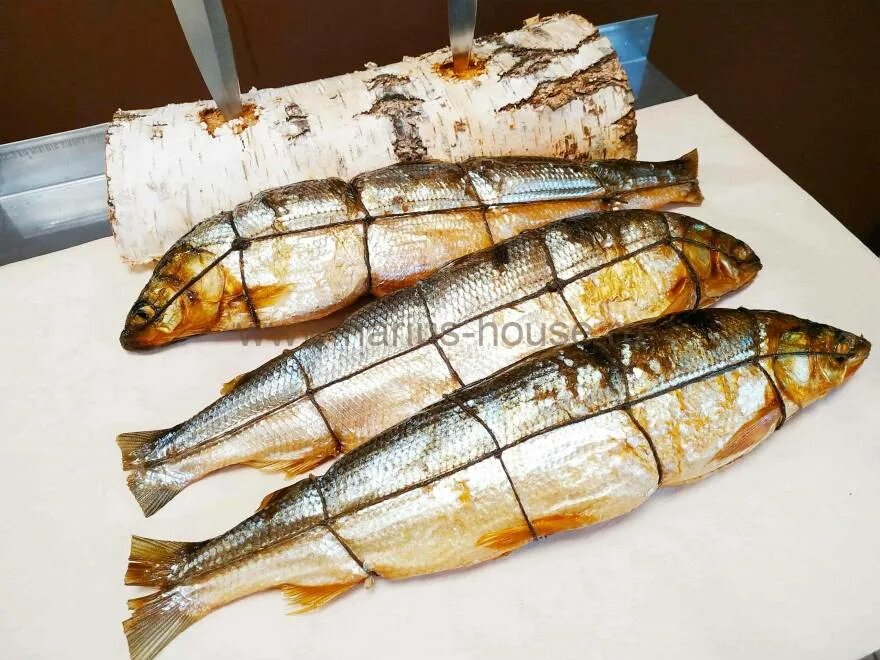 Омуль байкальский горячего копчения. Омуль рыбка горячего копчения. Омуль рыбка горячего копчения. Омуль байкальский холодного копчения. Омуль карельский.