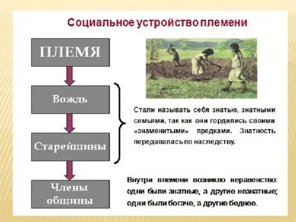 Устройство племен
