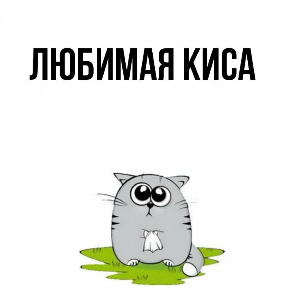 Ты киса киса песиком. Прикинься киса песиком мем. Прикинься киса песиком. Ты киса киса песиком. Понюхай кусу песиком текст песни.