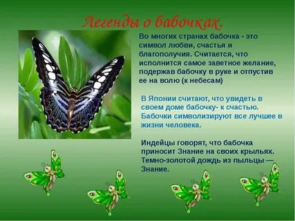 Значение цветов бабочек