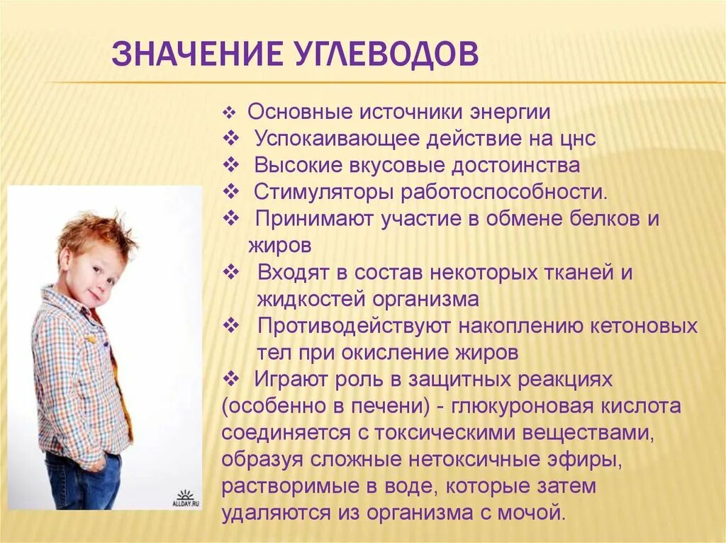 Углеводы их значение. Значение углеводов в питании. значение углеводов в питании гигиена. гигиеническое значение углеводов. гигиеническое значение углеводов в питании человека.
