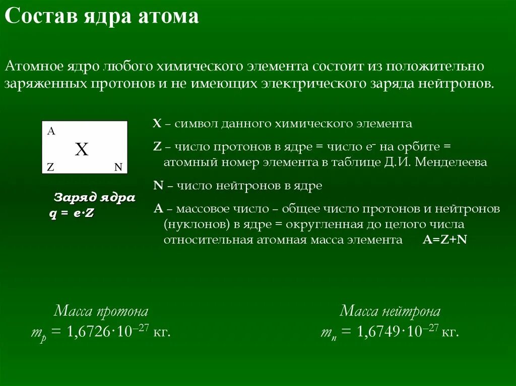 Какой основной элемент состава ядра. Какой основной элемент состава ядра
