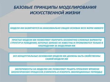 Моделирование жизни