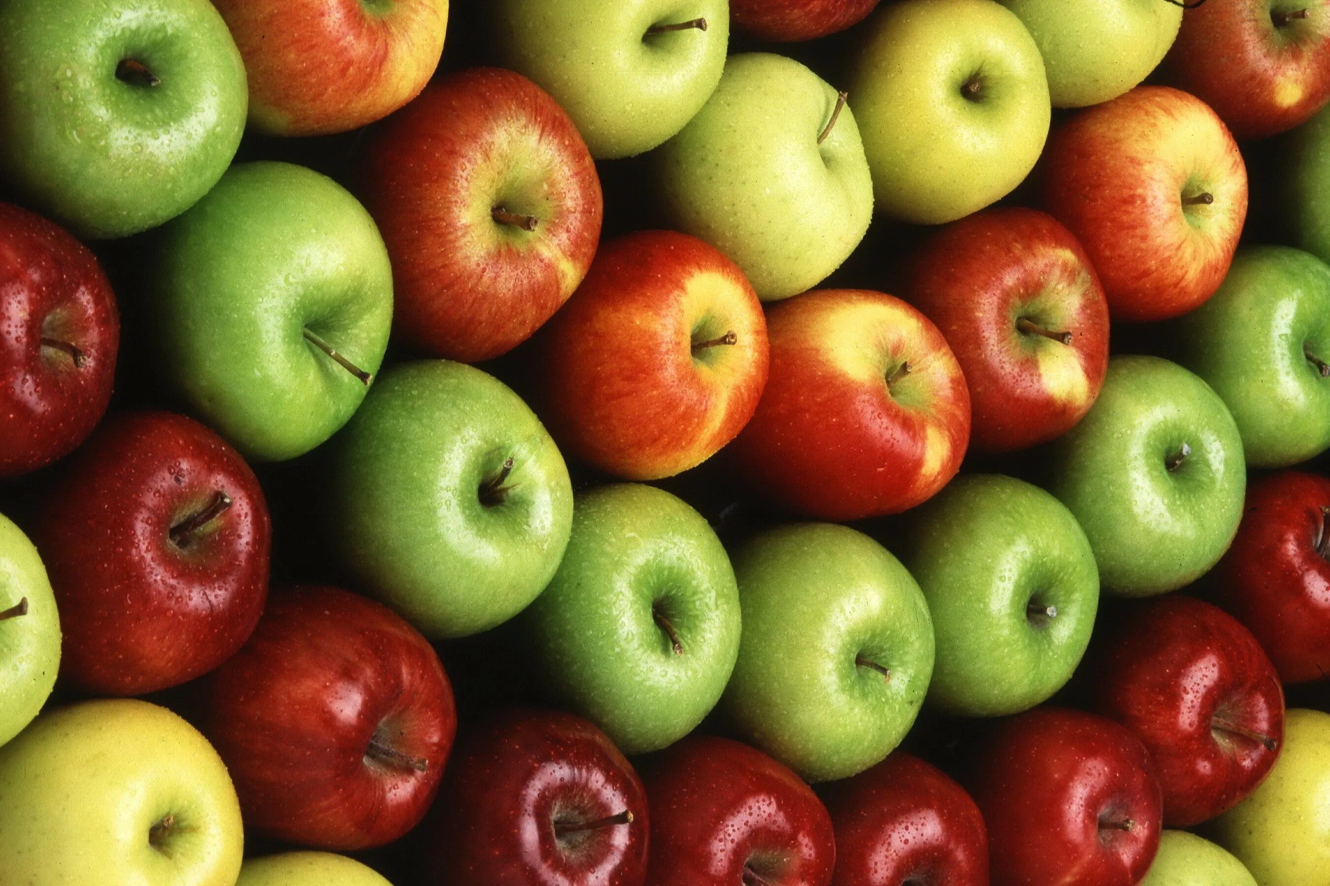 Фрукты яблоко. Блок фрукт. Яблоки красные желтые зеленые. Разноцветные яблоки. Яблоко плодовый