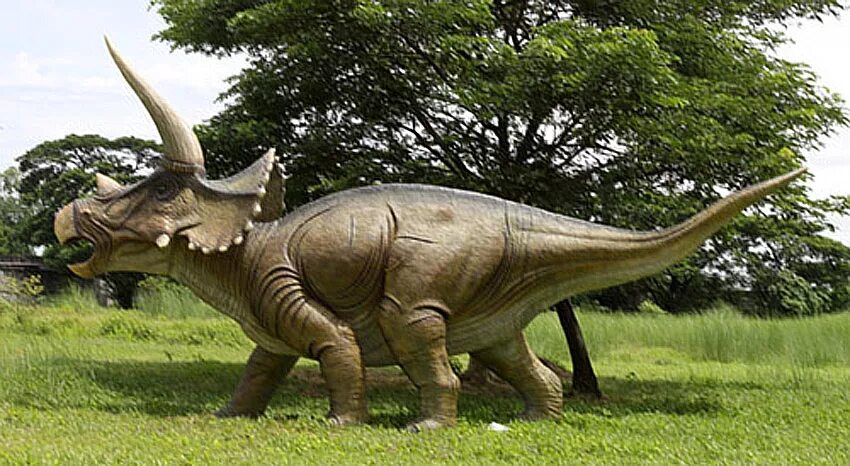 Покажи трицератопса. Трицератопс парк Юрского периода. Трицератопс фото. Животное которое похож на Трицератопса. Супер динозавры и ко макси Трицератопс.
