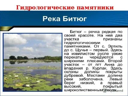 Что люди делают для охраны реки дона