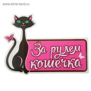 Включи номер котика