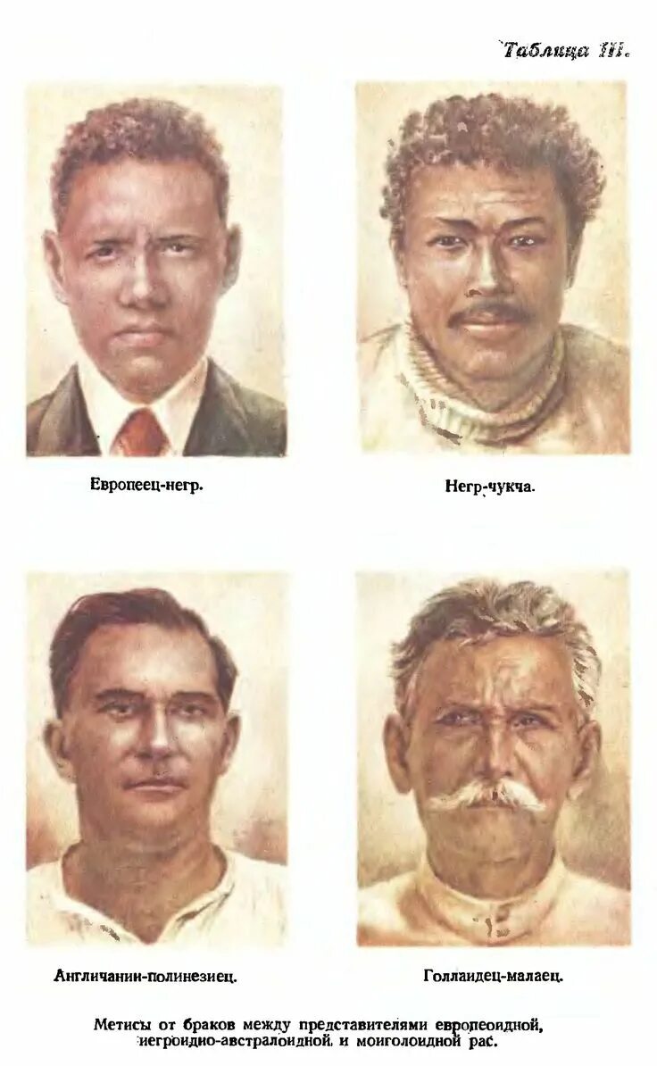 Потомки европейцев и негров в южной америке. Афроамериканец и европеец. Сарматская женщина антропологический. Потомки европейцев и негров в южной америке. Презентация на тему метисы.