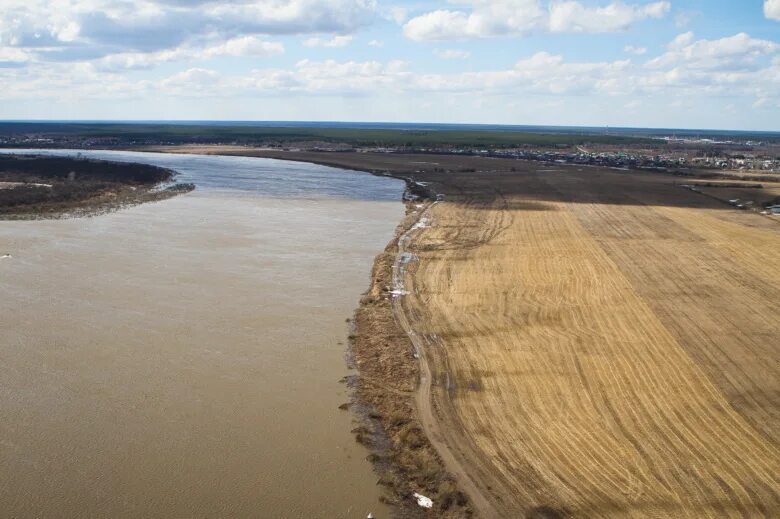 Обь вода колпашево. Шегарский мост. Шегарский мост через Обь. Томь и Обь. Вода в Шегарском районе фото.