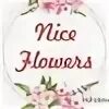 Nice flowers. This flowers nice. Good day открытки. Nice nicer the nicest урок. Розы пинк фловерс.