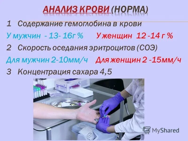 Содержание гемоглобина в крови у мужчин