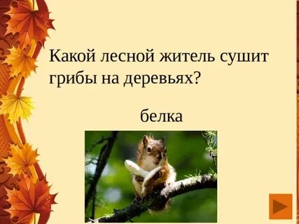 Какое лесное животное не любил пушкин