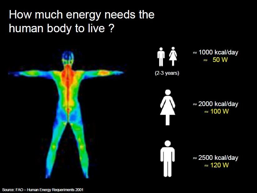 Energy in Human. S Energy. The Human Energy body.