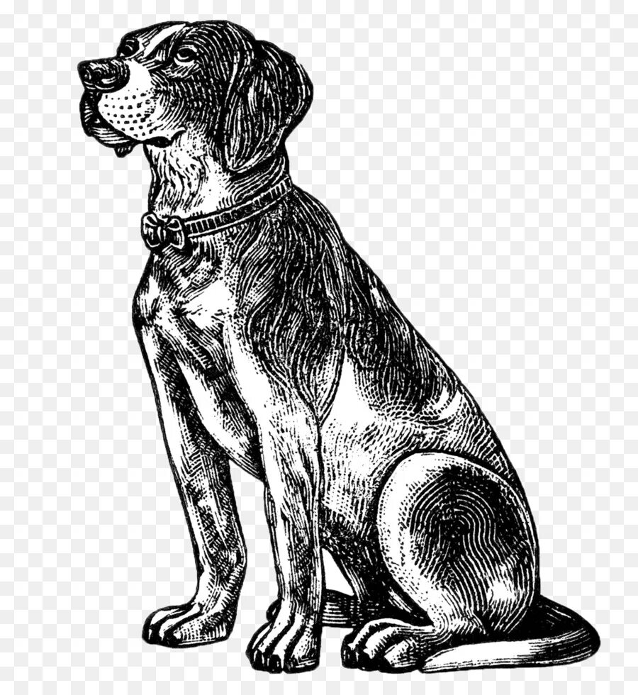Собака рисунок. Сидячая собака рисунок. Набросок сидящей собаки. Векторное изображение собаки. Рисунок собаки графика