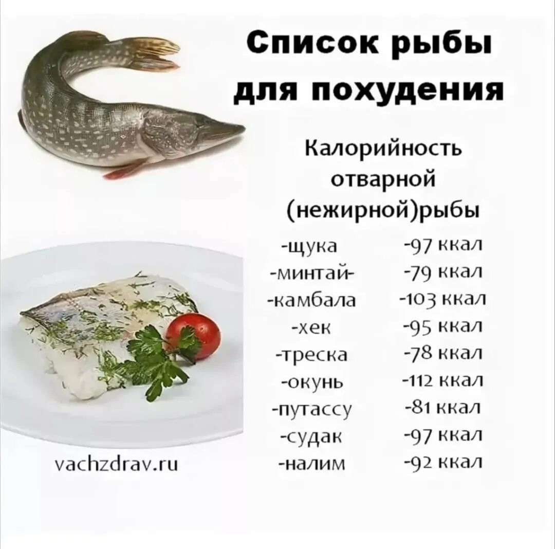 Сколько мяса в рыбе. Белая нежирная рыба для диеты список. Сорта рыбы по жирности таблица. Нежирная морская рыба для диеты список. Нежирные сорта морской рыбы.