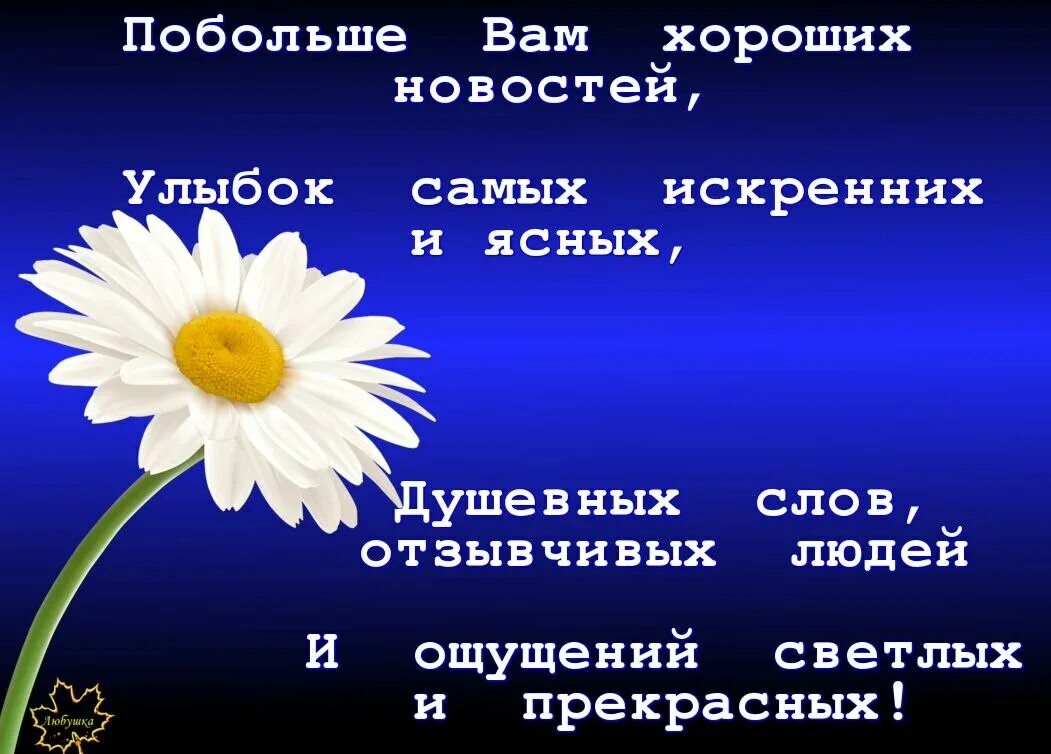 Светлых вам дней в жизни
