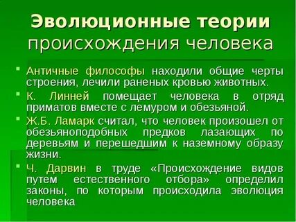 Сколько теорий