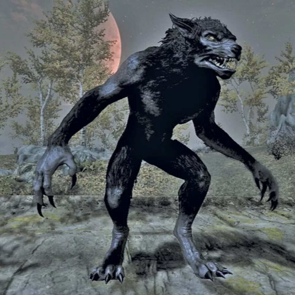 Танк оборотень. Волколак мифология. Другой мир вампиры и ликаны. The elder scrolls вервольф. Вервольф 4.