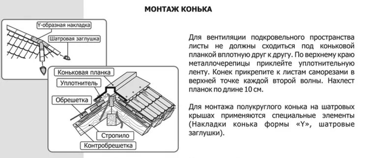Общество конька