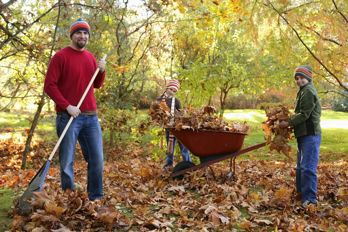 Жизнь человека осенью. Уборка листьев в саду. Осенние работы. Осенние работы в семье. Уборка листьев осенью.
