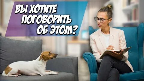 Психология собак