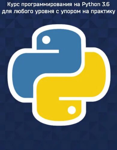 Программа курса программирование на python. Питон программирование.
