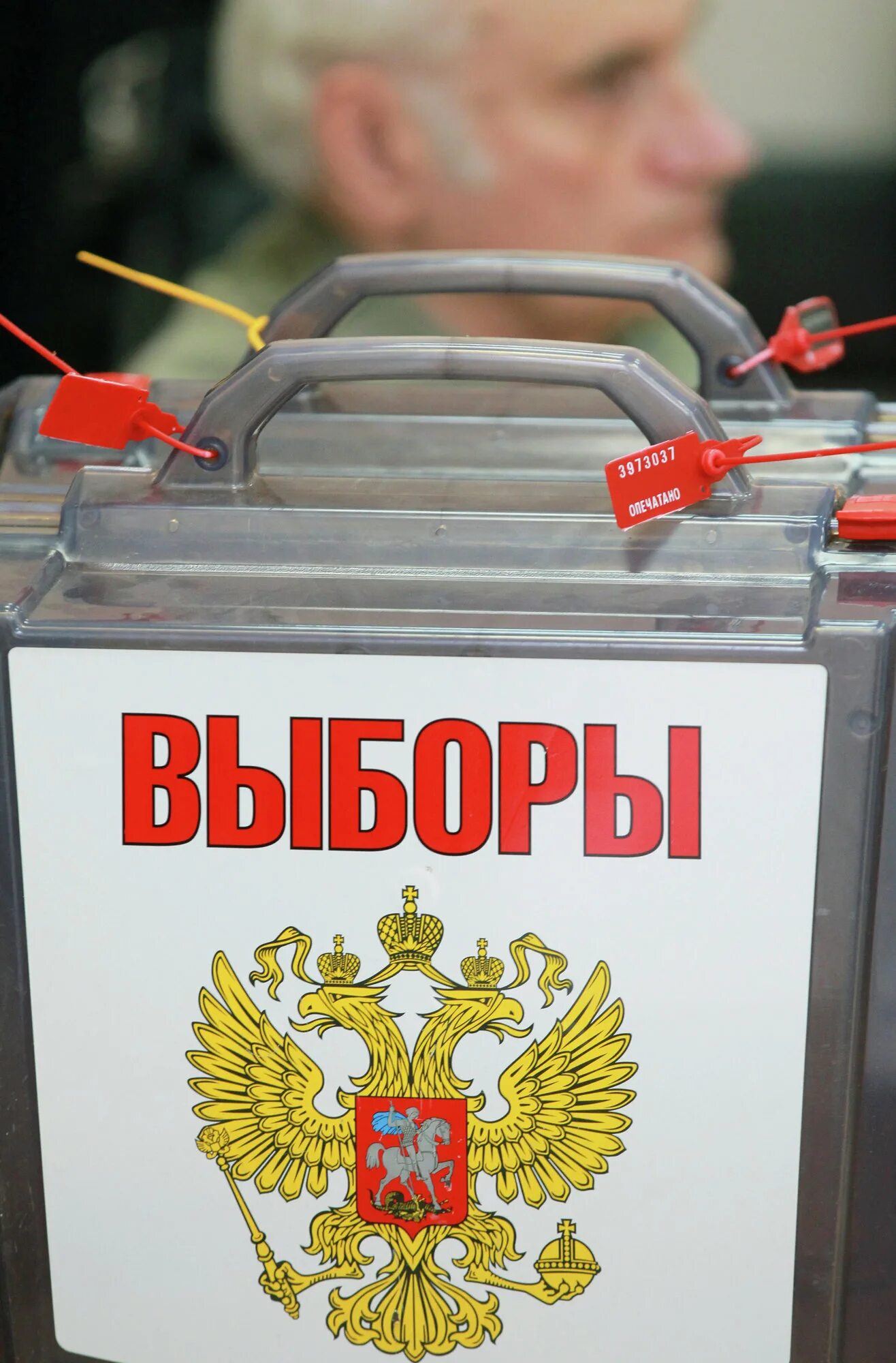Выборы чего могут быть. Выборы картинки. выборы депутатов картинка. выборы картинки для презентации.
