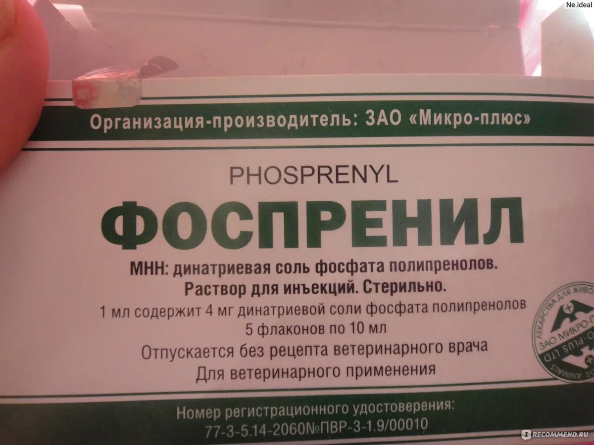 Фоспренил инструкция по применению. Фоспренил. Фоспренил лекарство для кошек. Фоспренил производитель. Фоспренил для собак.