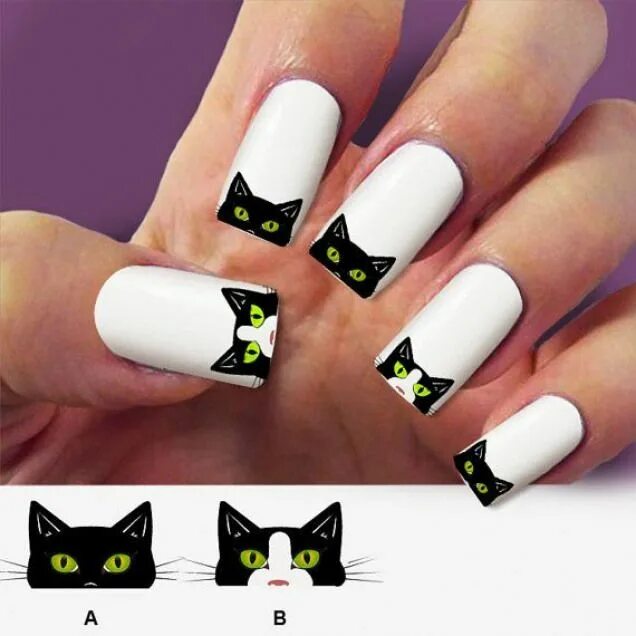 Cat styled