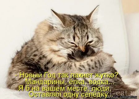 Не пойму что вам надо